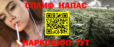 бошки Кинель